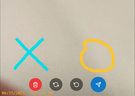 Call user interface (agent view)