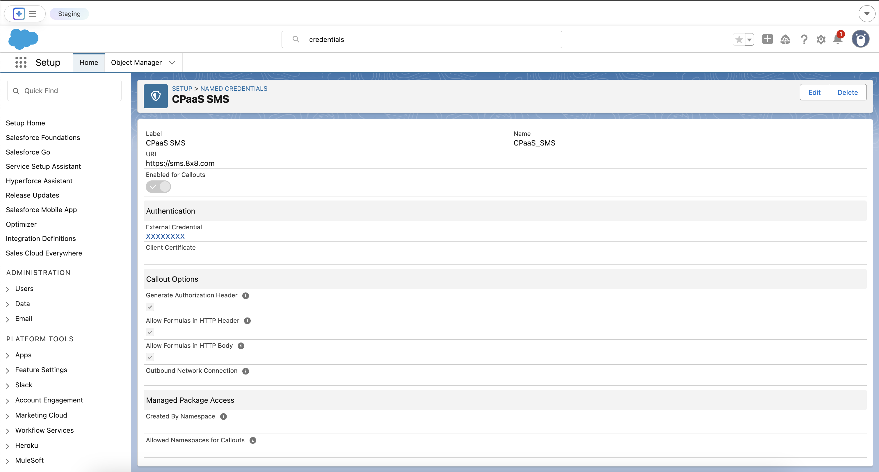 Completed Named Credential and External Credential